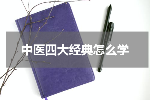 中医四大经典怎么学