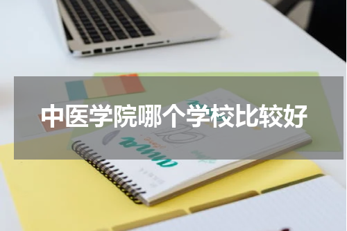 中医学院哪个学校比较好