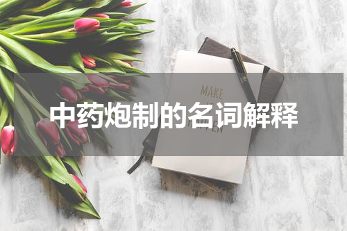 中药炮制的名词解释