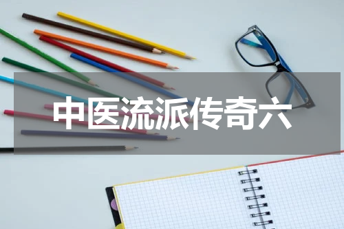 中医流派传奇六