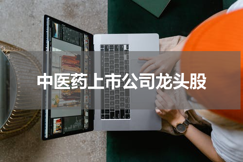 中医药上市公司龙头股