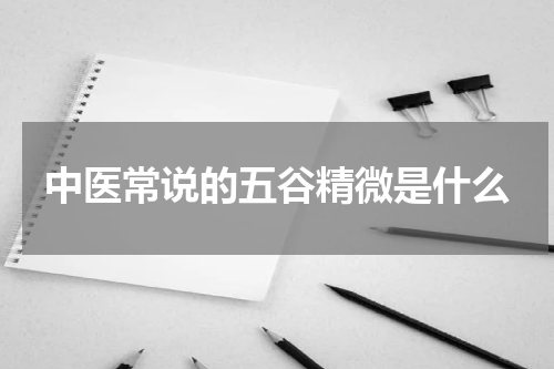 中医常说的五谷精微是什么