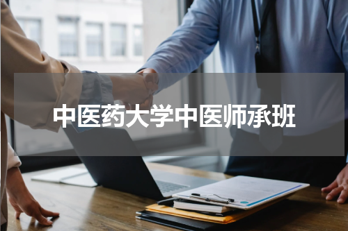 中医药大学中医师承班