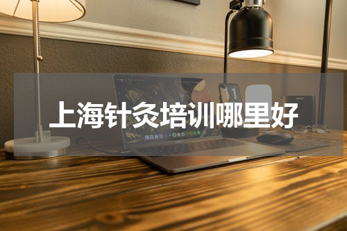 上海针灸培训哪里好
