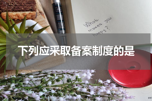 下列应采取备案制度的是