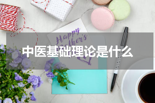 中医基础理论是什么
