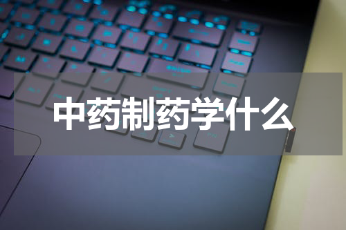 中药制药学什么
