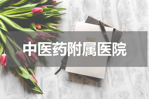 中医药附属医院