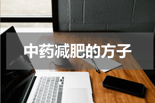 中药减肥的方子