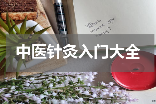 中医针灸入门大全