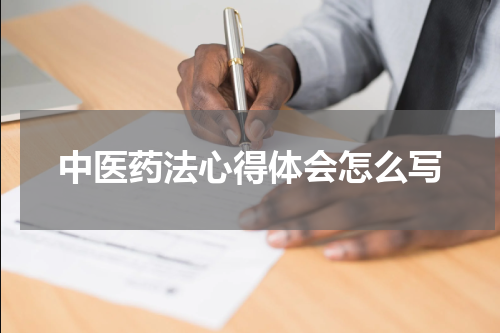 中医药法心得体会怎么写