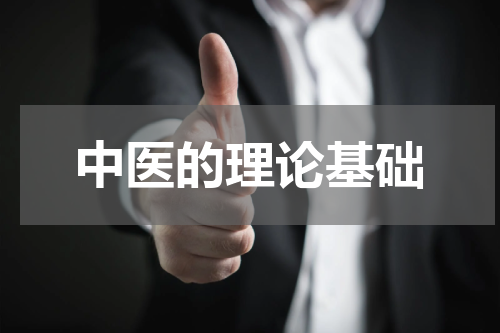中医的理论基础