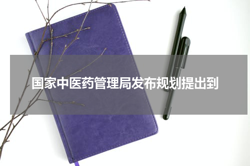 国家中医药管理局发布规划提出到