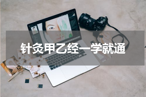 针灸甲乙经一学就通