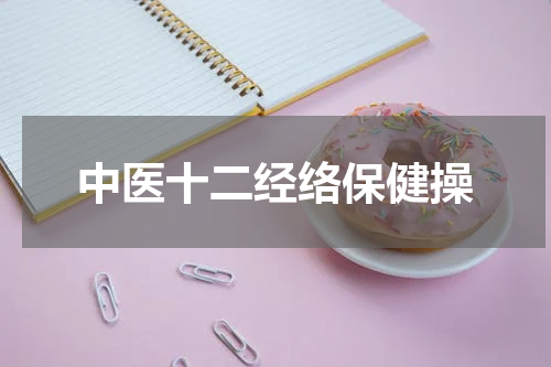 中医十二经络保健操