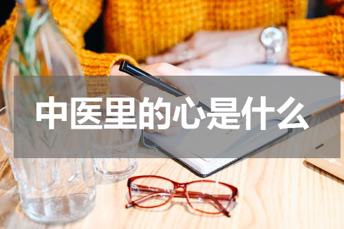 中医里的心是什么