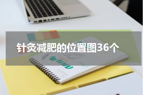 针灸减肥的位置图36个