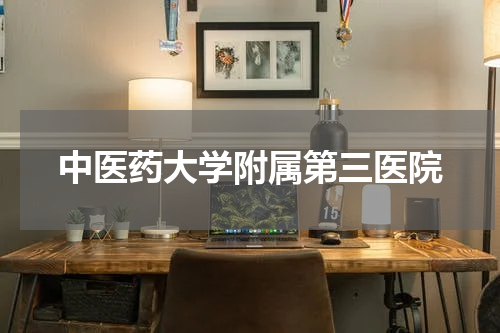 中医药大学附属第三医院