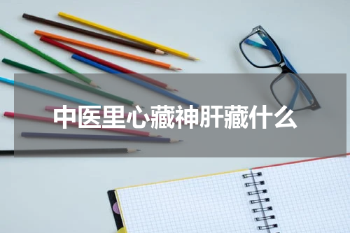 中医里心藏神肝藏什么