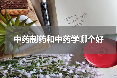 中药制药和中药学哪个好