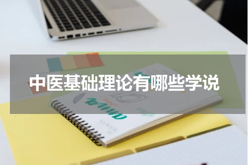 中医基础理论有哪些学说
