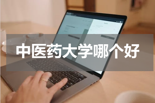 中医药大学哪个好
