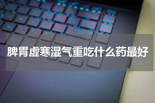 脾胃虚寒湿气重吃什么药最好