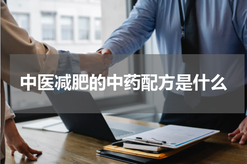 中医减肥的中药配方是什么