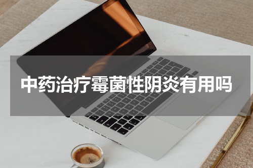 中药治疗霉菌性阴炎有用吗