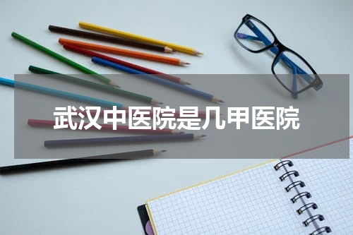 武汉中医院是几甲医院