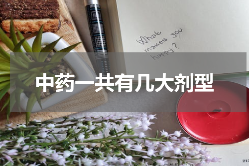 中药一共有几大剂型