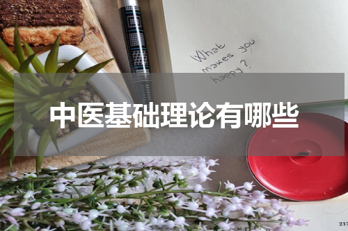 中医基础理论有哪些