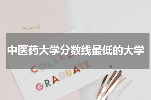 中医药大学分数线最低的大学