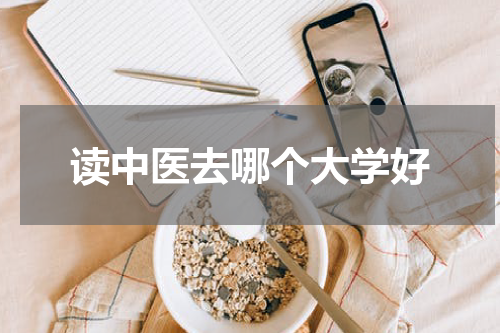 读中医去哪个大学好