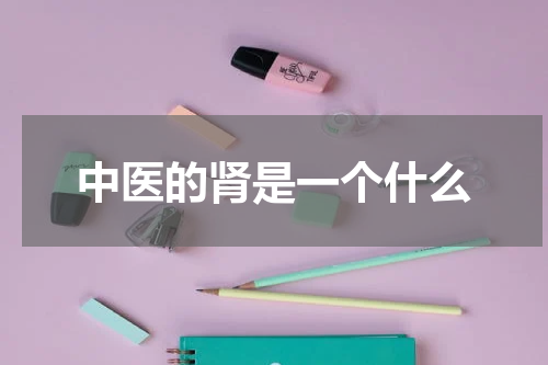 中医的肾是一个什么