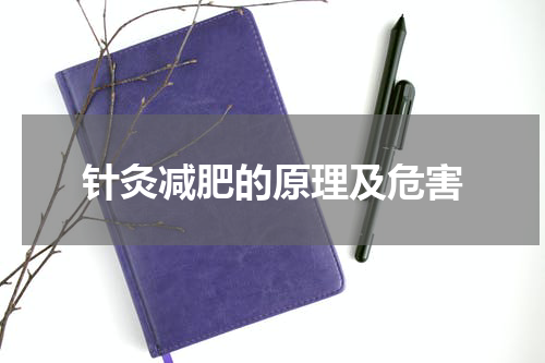 针灸减肥的原理及危害