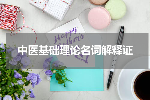 中医基础理论名词解释证
