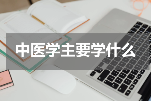 中医学主要学什么
