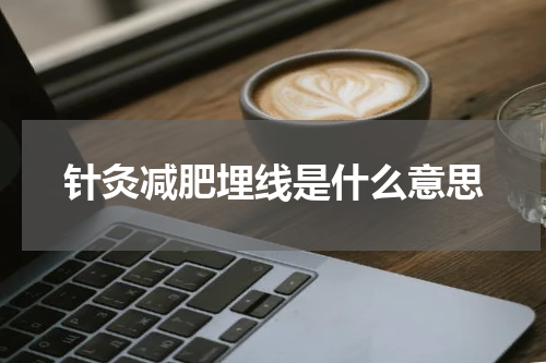 针灸减肥埋线是什么意思