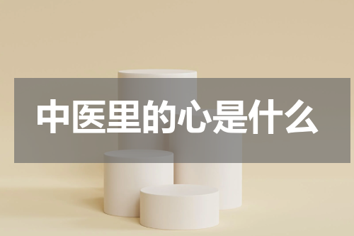 中医里的心是什么