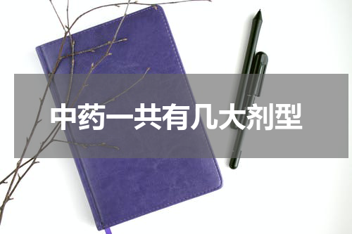 中药一共有几大剂型