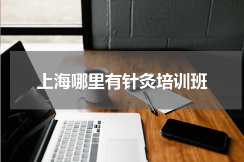 上海哪里有针灸培训班