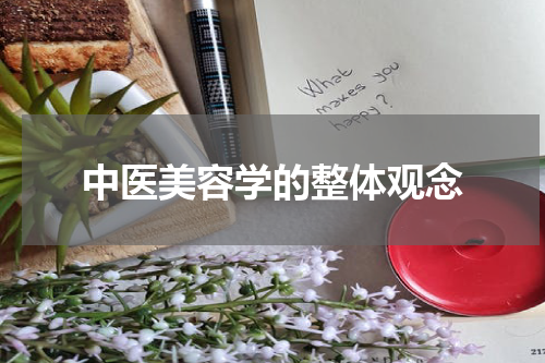 中医美容学的整体观念
