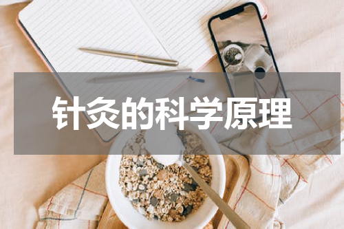 针灸的科学原理
