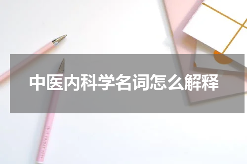 中医内科学名词怎么解释