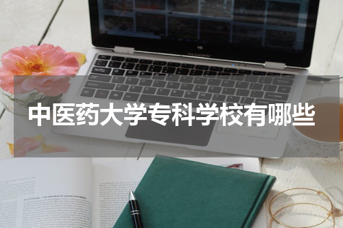 中医药大学专科学校有哪些