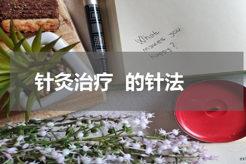 针灸治疗  的针法