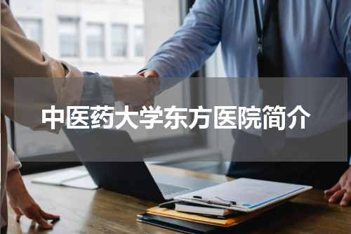 中医药大学东方医院简介
