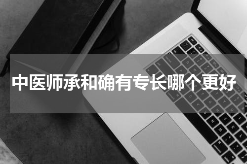 中医师承和确有专长哪个更好