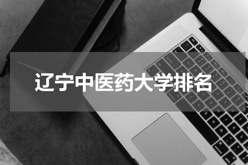辽宁中医药大学排名